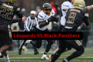 Léopards vs Black Panthers